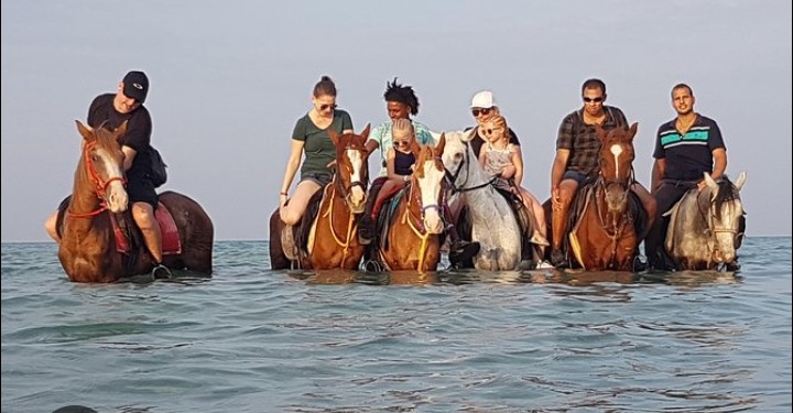 Crazy Camping Horses Adventure