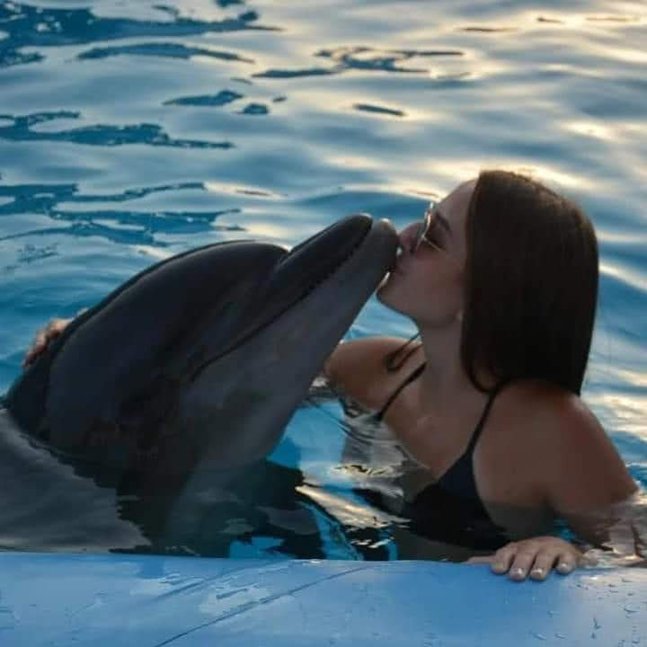 Crazy Dolphin House Adventure