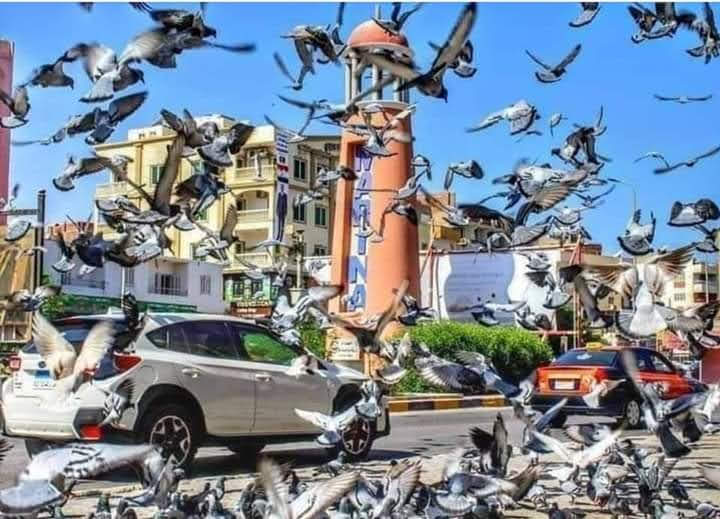 Crazy Hurghada City Adventure