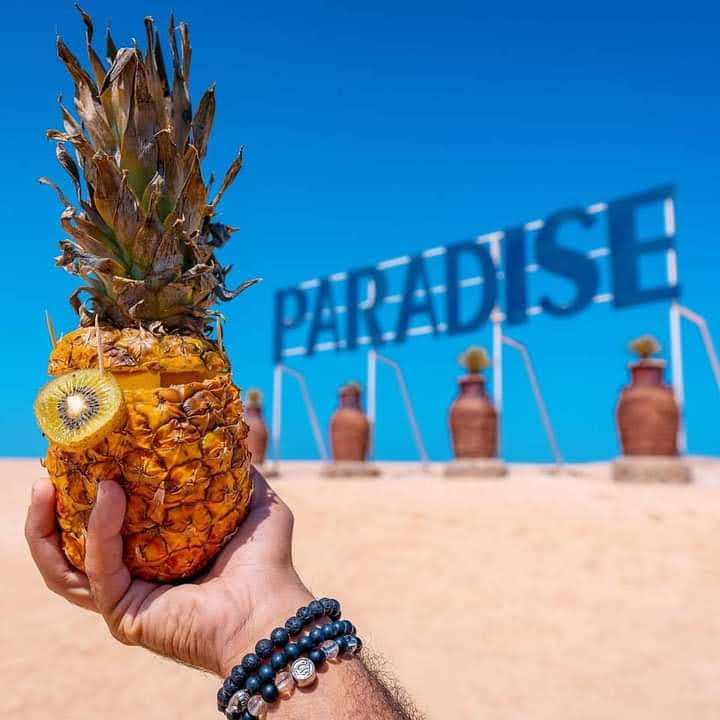 Crazy Paradise Island Adventure