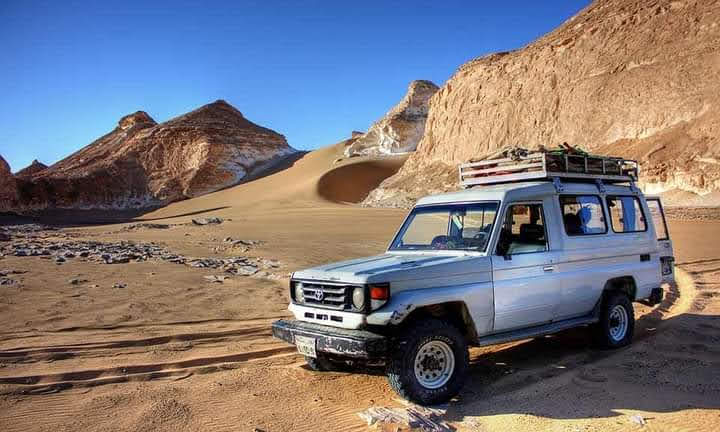 Crazy Super Safari