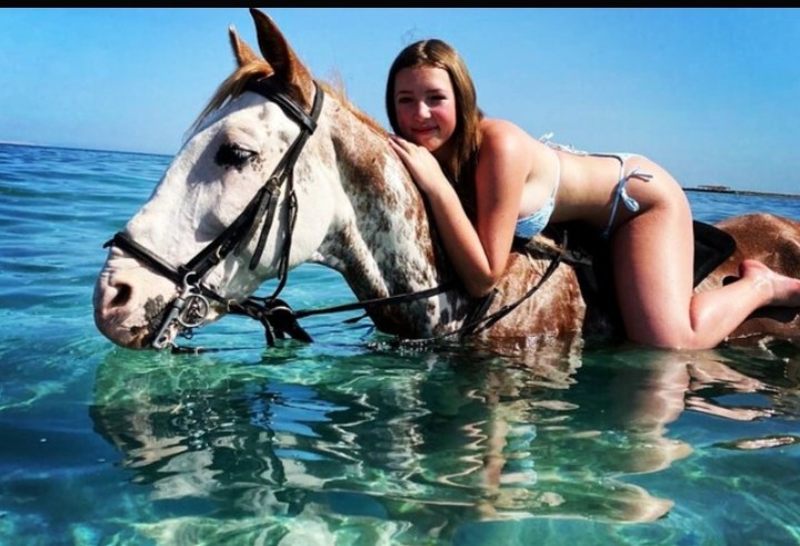 Crazy Swimming Horses Adventure